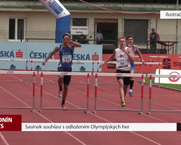 Sasínek souhlasí s odložením Olympijských her