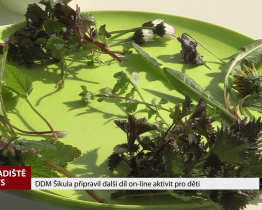 DDM Šikula připravil další díl on-line aktivit pro děti