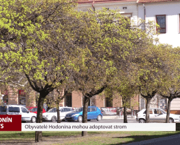 Obyvatelé Hodonína mohou adoptovat strom