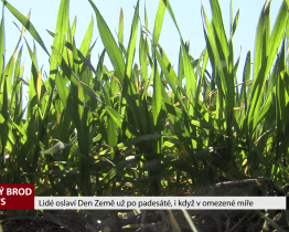 Lidé oslaví Den Země už po padesáté 