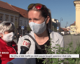 Na trhu si lidé mohli po delší pauze koupit sazenice i živé ryby