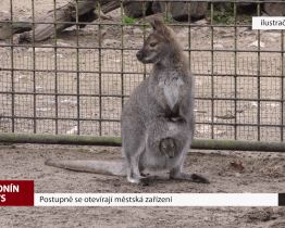 Postupně se otevírají městská zařízení