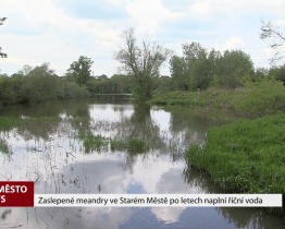 Zaslepené meandry ve Starém Městě po letech naplní říční voda