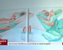 Apartmány Havlíčkova se proměnily ve výstavní galerii