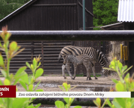 Zoo oslavila zahájení běžného provozu Dnem Afriky