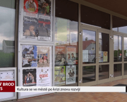Kultura se ve městě po krizi znovu rozvíjí