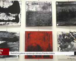Radniční galerie vystavuje obrazy Patrika Hábla