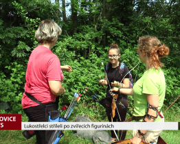 Lukostřelci stříleli po zvířecích figurínách