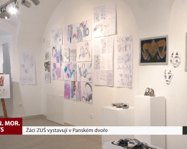 Žáci ZUŠ vystavují v Panském dvoře