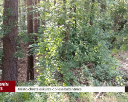 Město chystá exkurze do lesa Bažantnice