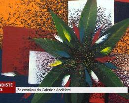 Za exotikou do Galerie s Andělem