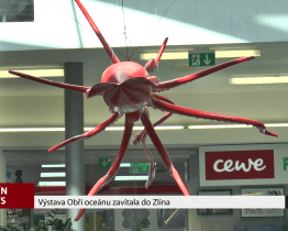 Výstava Obři oceánu zavítala do Zlína