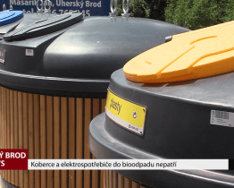 Koberce a elektrospotřebiče do bioodpadu nepatří