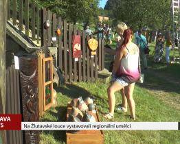 Na Žlutavské louce vystavovali regionální umělci