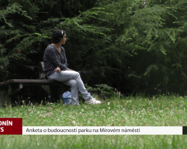 Anketa o budoucnosti parku na Mírovém náměstí