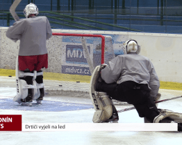 Drtiči vyjeli na led