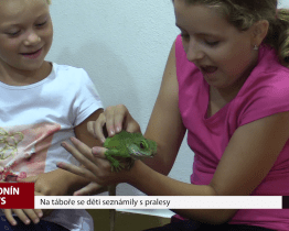 Na táboře se děti seznámily s pralesy