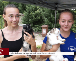 Mladí chovatelé vystavovali na oblastní výstavě