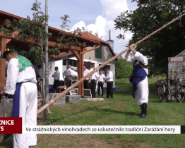 Ve strážnických vinohradech se uskutečnilo tradiční Zarážání hory	