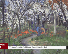 Výstava Tomáše Bubláka v Galerii Panský dvůr