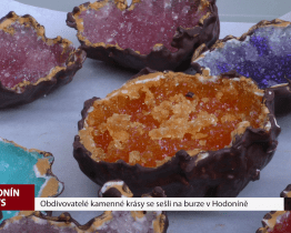 Obdivovatelé kamenné krásy se sešli na burze v Hodoníně