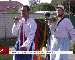 Vinobraní doplnil košt naturálních vín a burčáků