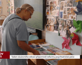Týden duševního zdraví připomněl reformu psychiatrické péče