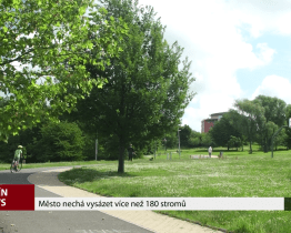 Město nechá vysázet více než 180 stromů