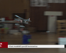 Účast modelářů ponížil koronavirus