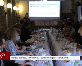 Porada starostů se věnovala i opatřením proti koronaviru
