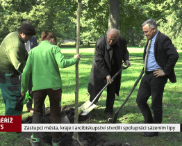 Zástupci města, kraje i arcibiskupství stvrdili spolupráci zasazením lípy