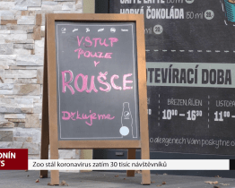 Zoo stál koronavirus zatím 30 tisíc návštěvníků