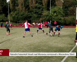 Národní házenkáři Veselí nad Moravou remizovali s Moravskou Slávií