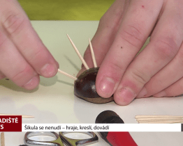 Šikula se nenudí – hraje, kreslí, dovádí