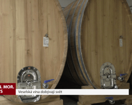 Veselská vína dobývají svět