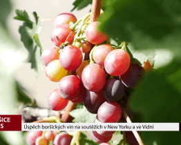 Úspěch boršických vín na soutěžích v New Yorku a ve Vídni