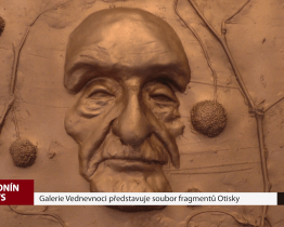 Galerie Vednevnoci představuje soubor fragmentů Otisky