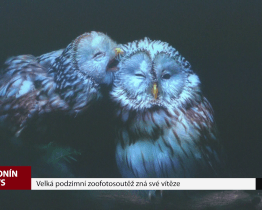 Velká podzimní zoofotosoutěž zná své vítěze