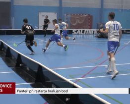 Panteři při restartu brali jen bod