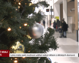 Letos máte opět možnost udělat radost dětem z dětských domovů