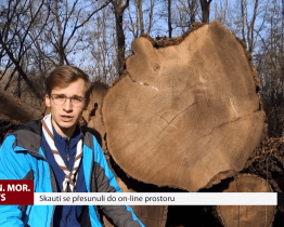 Skauti se přesunuli do on-line prostoru