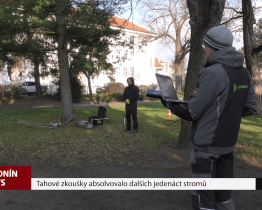 Tahové zkoušky absolvovalo dalších jedenáct stromů
