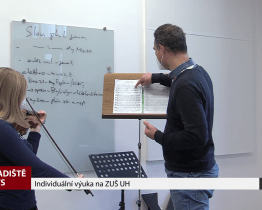Individuální výuka na ZUŠ UH