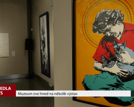 Muzeum zve hned na několik výstav