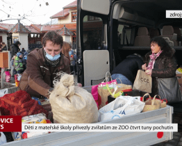 Děti z mateřské školy přivezly zvířatům ze ZOO čtvrt tuny pochutin