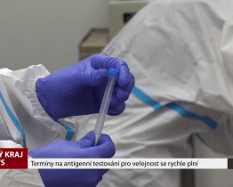 Termíny na antigenní testování pro veřejnost se rychle plní