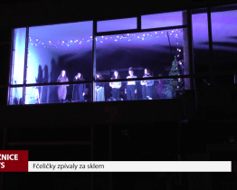 Fčeličky zpívaly za sklem