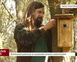 Brontosauři pokračují ve vysazování stromů i věšení budek