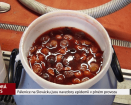 Pálenice na Slovácku jsou navzdory epidemii v plném provozu