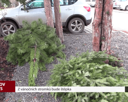 Z vánočních stromků bude štěpka